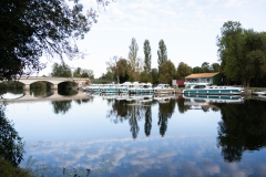Photo-14